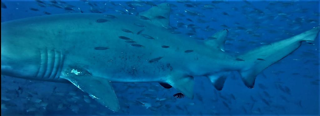 6e388ded-8e8f-43ed-9b3d-02d362bcae90