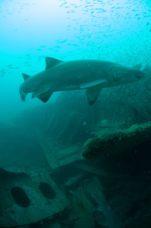 1148eda8-b2df-40af-9364-8dbc2ccae3e0