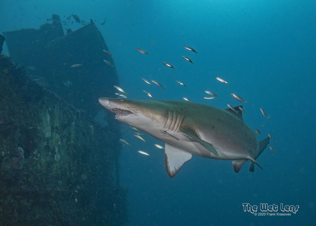 5cb15cd6-67d7-4580-94d5-93af68df470e