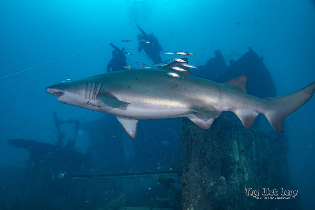 5cb15cd6-67d7-4580-94d5-93af68df470e