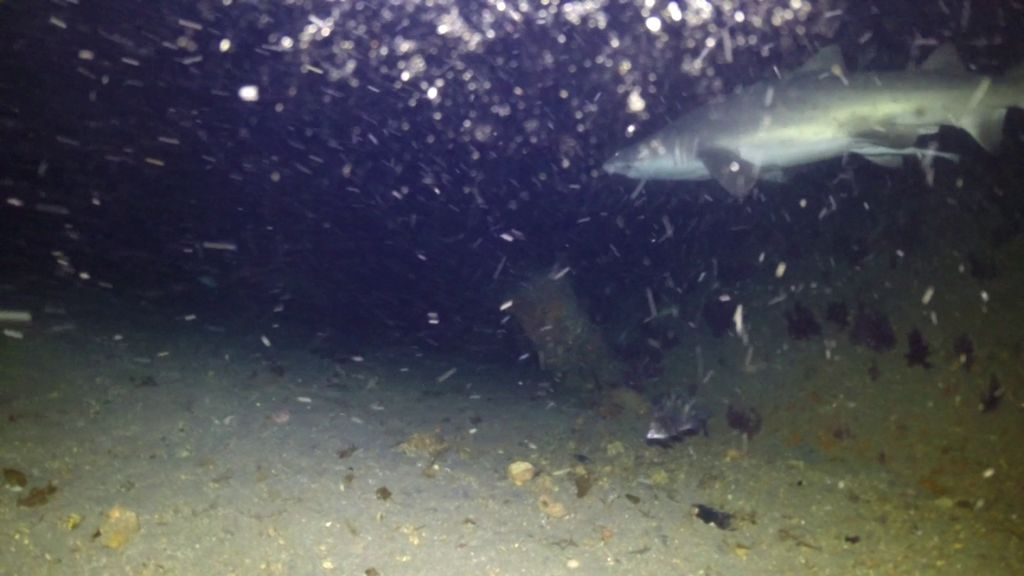 42790dda-7809-4e9f-a516-ac0d4648b1d9