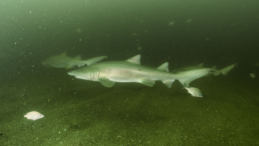 59237119-1447-4de6-9b92-4a8e27113de2