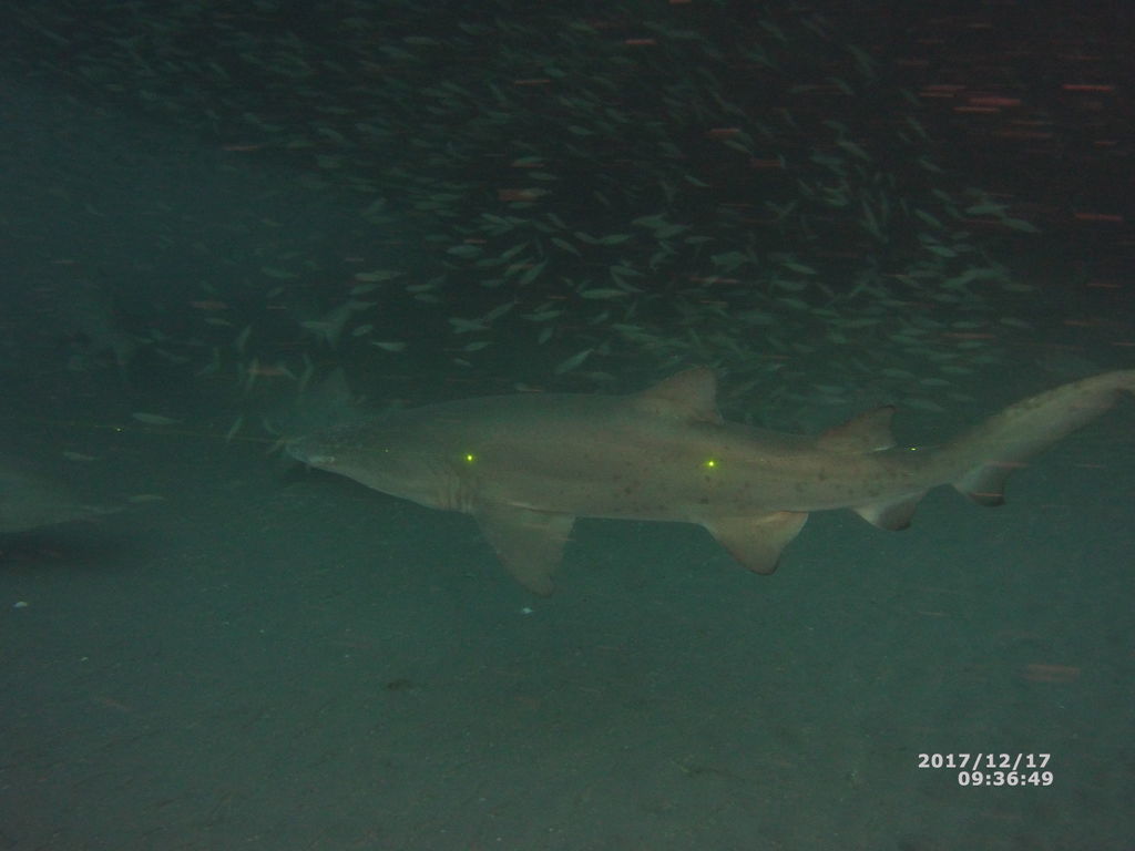 9c68a82c-33bb-4482-aa4d-c1dc703db0ed