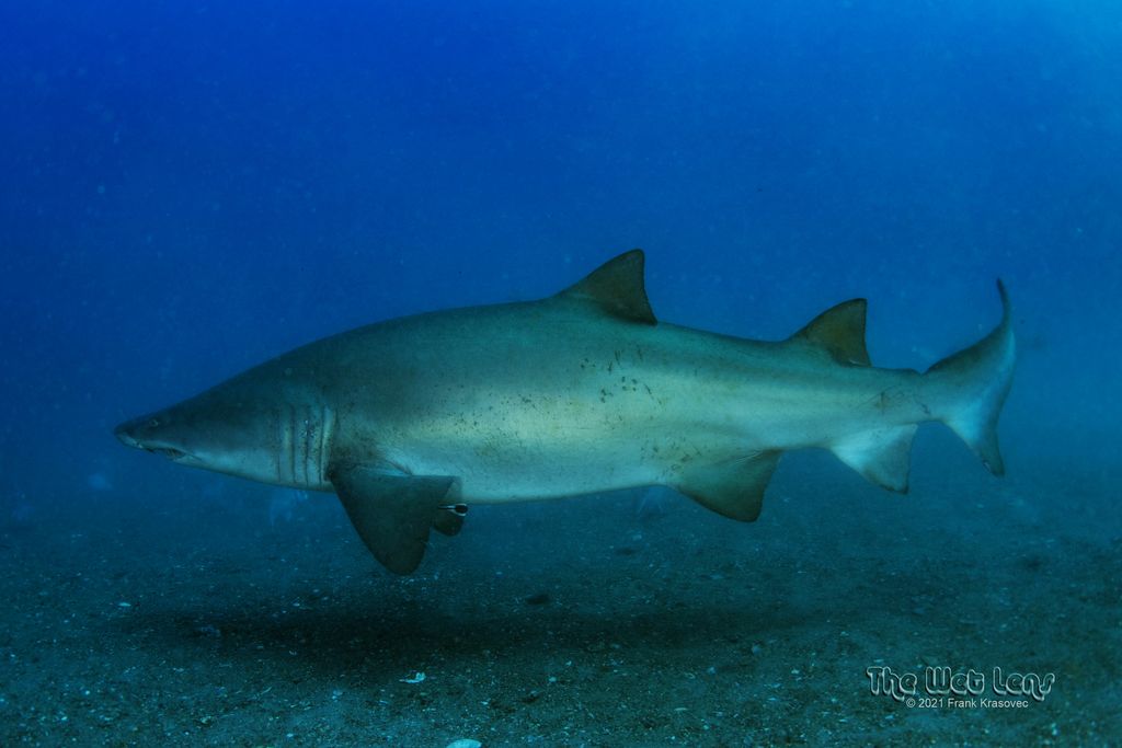 27dd82e0-4b2d-41b0-910d-7c9c22000329