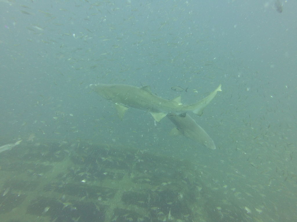 07147e25-1e63-4054-ab8f-ac1c5b191ba2