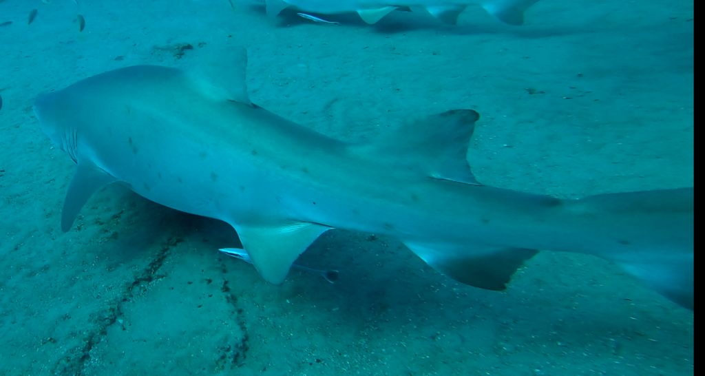 1fb49caf-b048-43ad-8b75-fa0f55977734