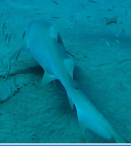 1fb49caf-b048-43ad-8b75-fa0f55977734