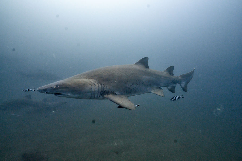 758a4ac3-7bb4-4424-888a-68e4f0836cd7