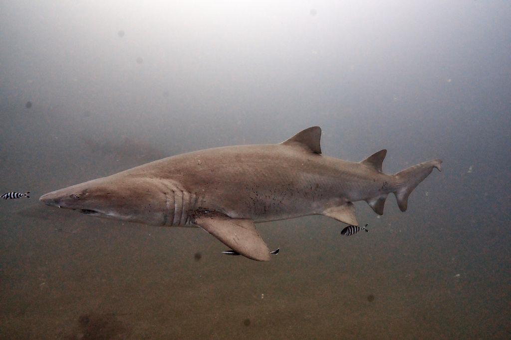 758a4ac3-7bb4-4424-888a-68e4f0836cd7