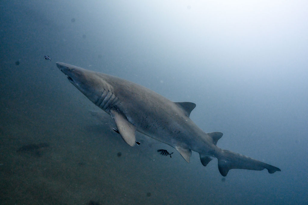 758a4ac3-7bb4-4424-888a-68e4f0836cd7