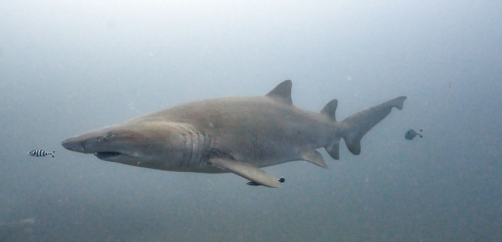 758a4ac3-7bb4-4424-888a-68e4f0836cd7