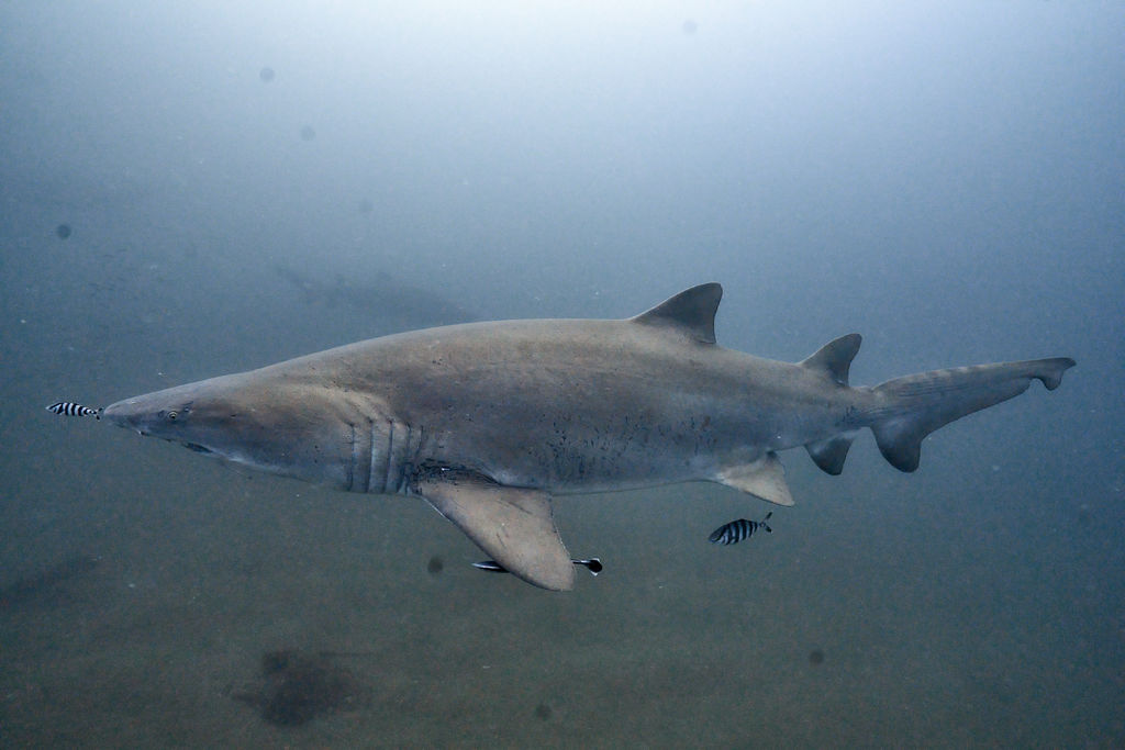 758a4ac3-7bb4-4424-888a-68e4f0836cd7