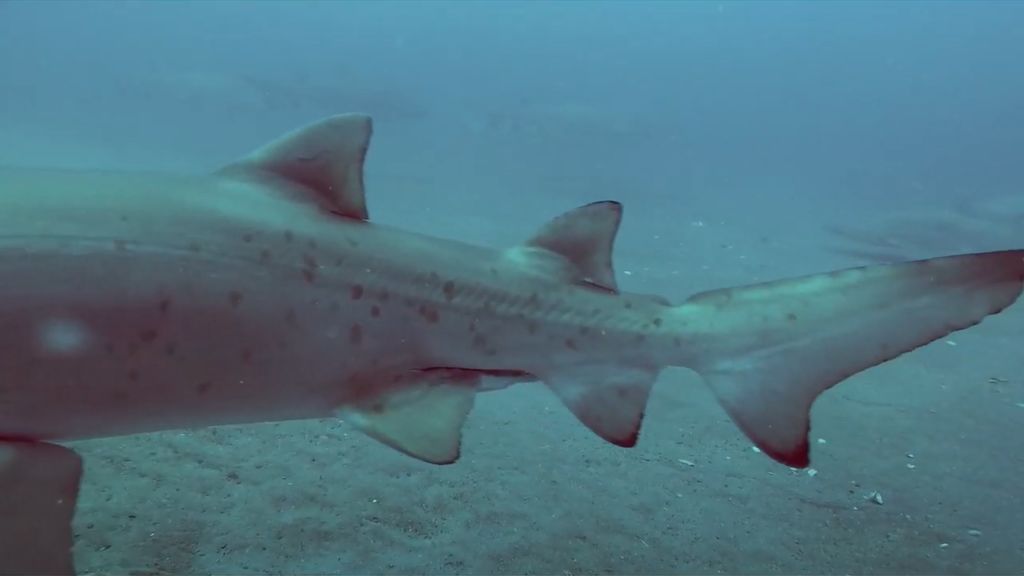 02667d96-af7b-45bd-9fb9-77c054cf9c0f