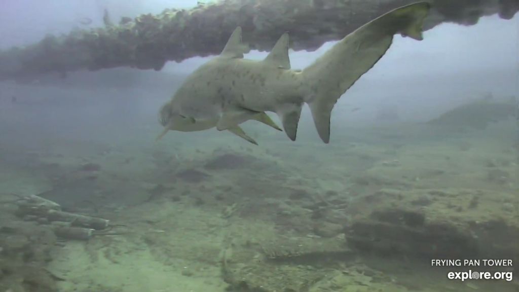 b49dbfa9-3955-4cc0-bf40-021fcc88e60f