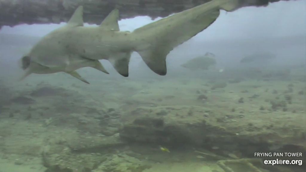 b49dbfa9-3955-4cc0-bf40-021fcc88e60f