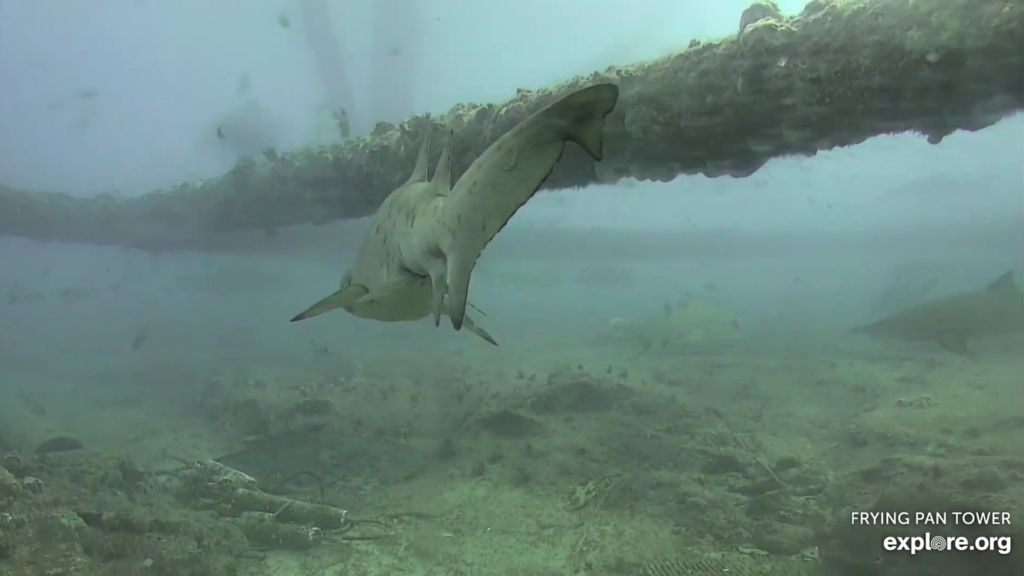 b49dbfa9-3955-4cc0-bf40-021fcc88e60f