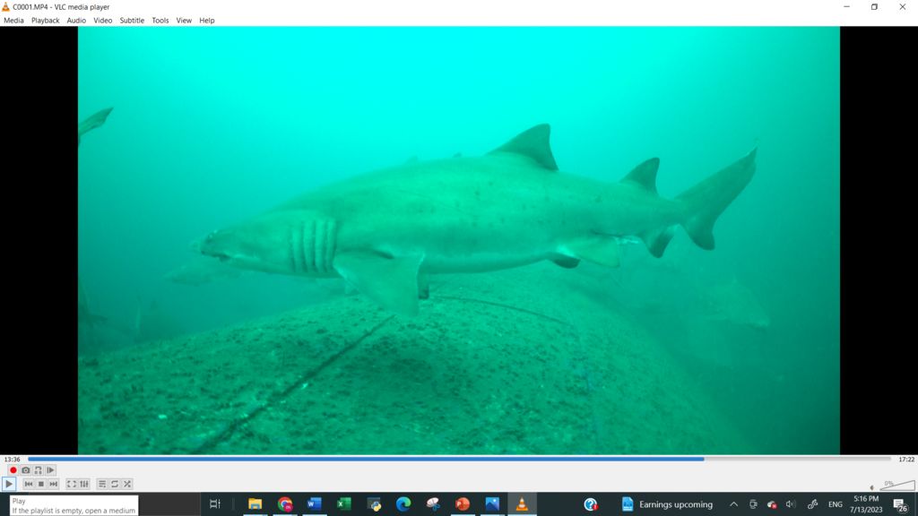 2e34bae2-eeff-430d-9d05-a6589b52eb47