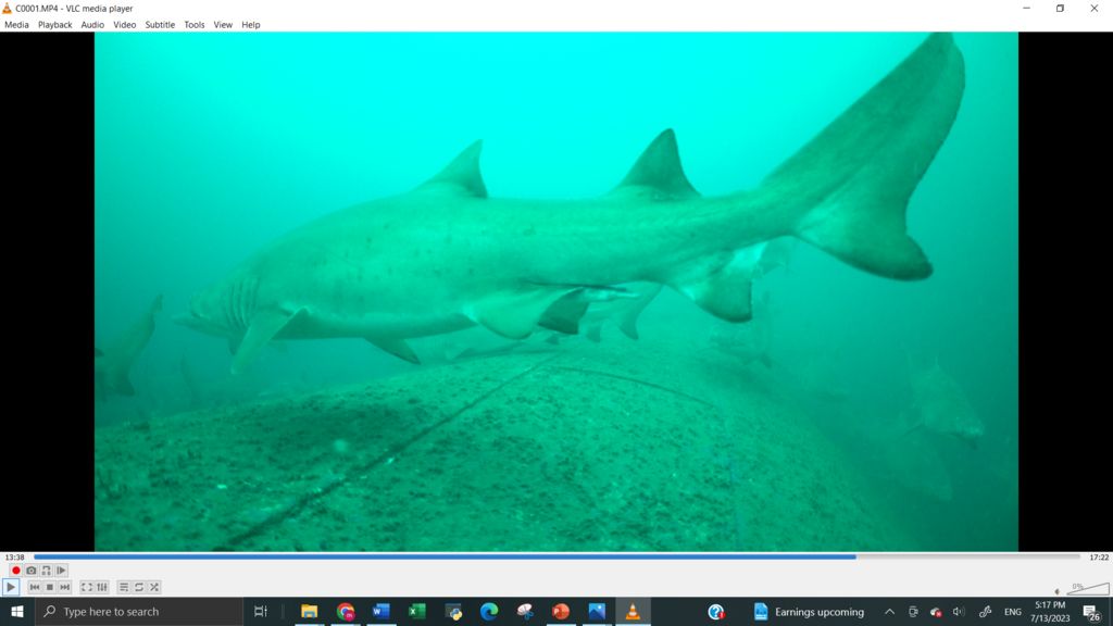 2e34bae2-eeff-430d-9d05-a6589b52eb47