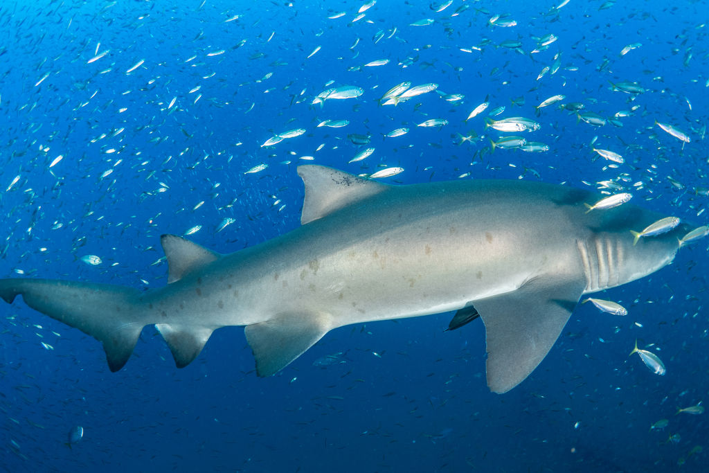 aa92d41f-7876-44b9-a514-2b286525652c