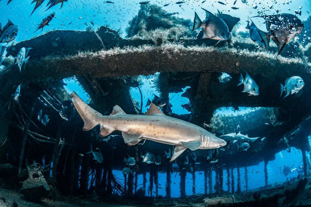 0c37c41f-82af-4b48-89da-54df25eac870