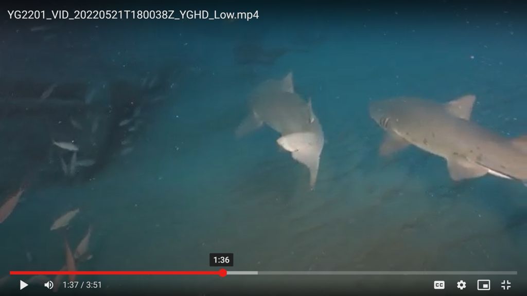 4aee2297-5168-4822-a062-26671280e308