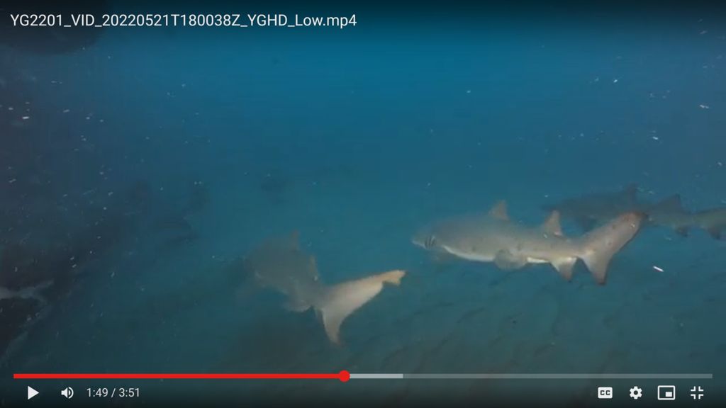 4aee2297-5168-4822-a062-26671280e308