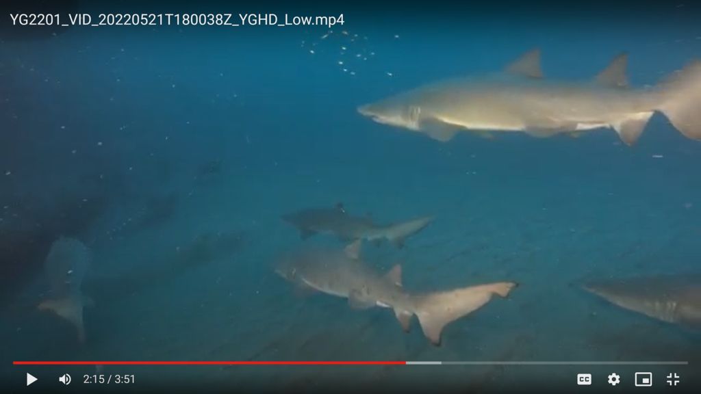 4aee2297-5168-4822-a062-26671280e308