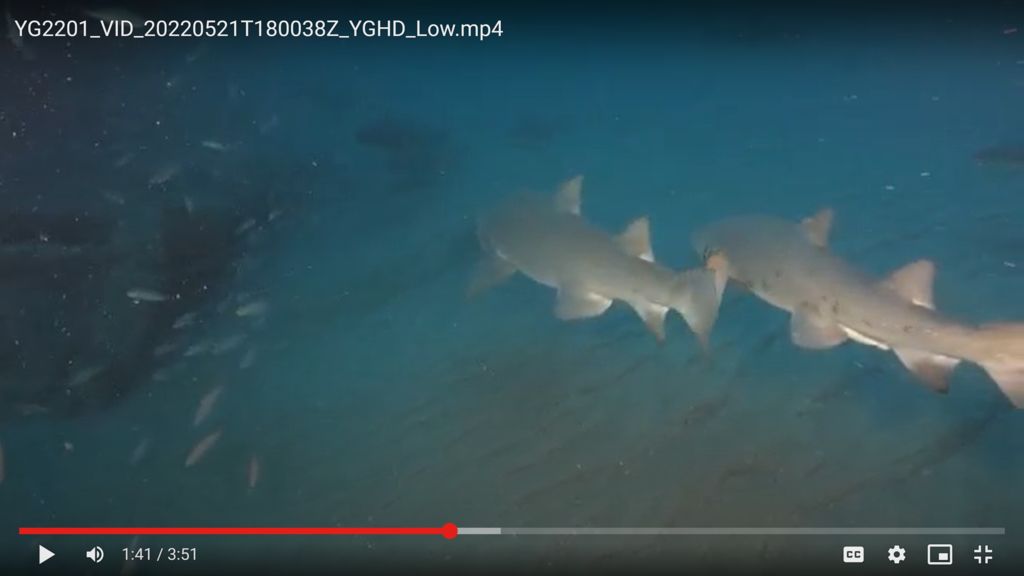 4aee2297-5168-4822-a062-26671280e308