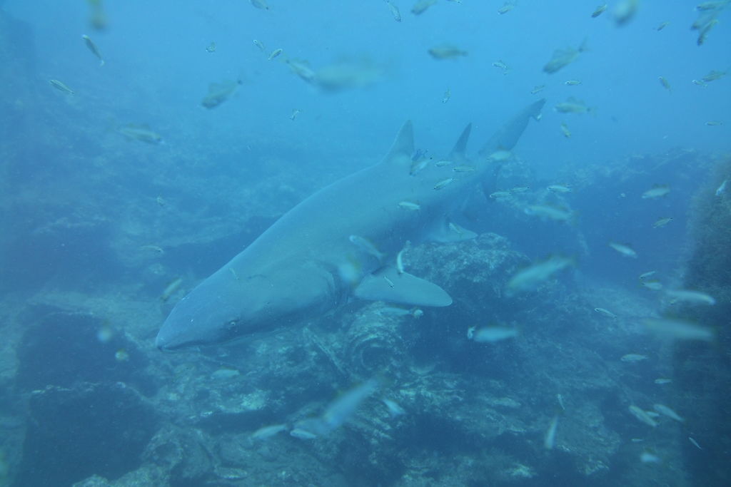 342dfbcf-9e45-4189-b8dd-18853d275308