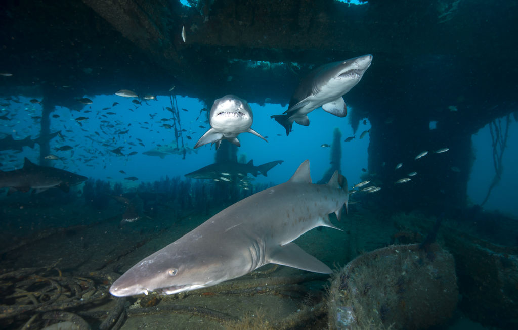 d730ba4b-7231-43b5-83fc-c950235ecc21