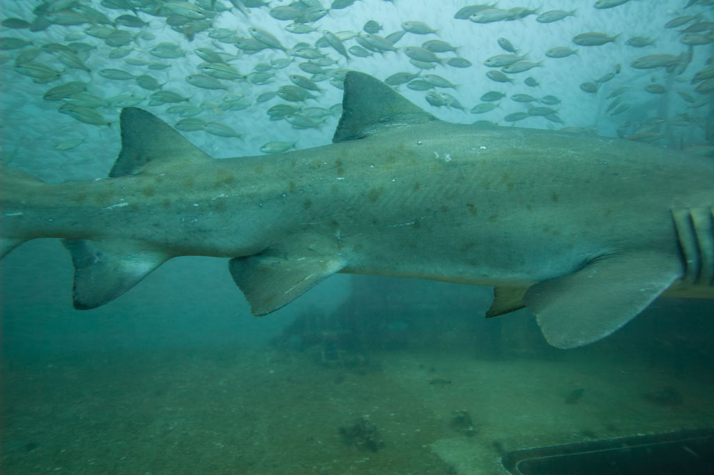 b0816f8e-a05e-414d-aca1-61a14cd431f7