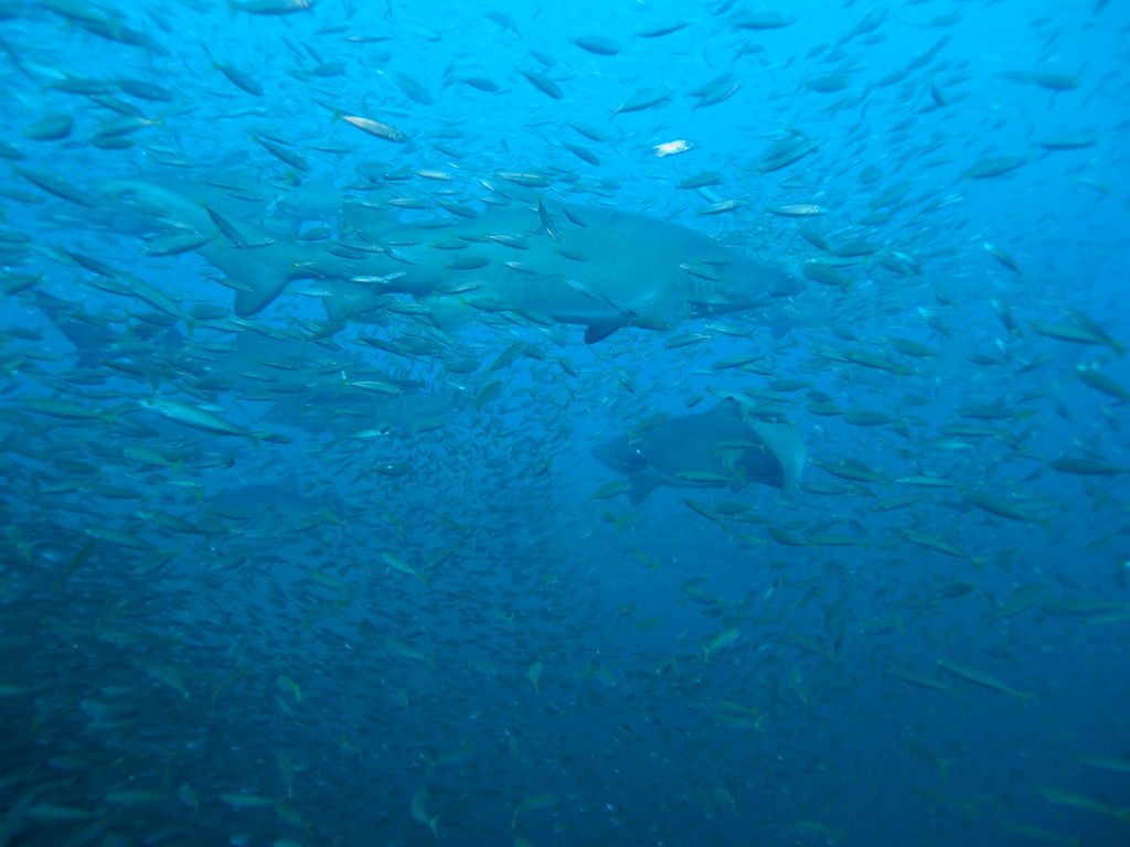 33817e76-dfa3-47ad-9645-dfb6aa69659a