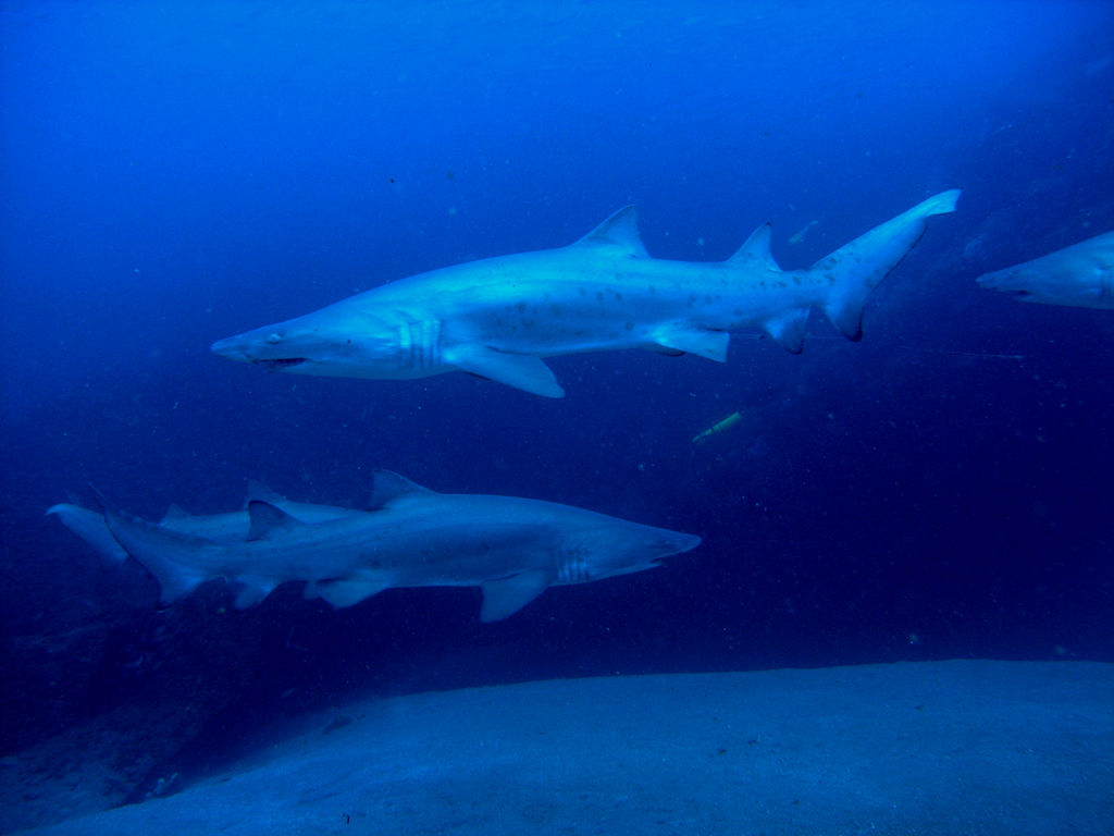 2280ecf6-6aa2-46f0-a23a-c3b4a6690a86