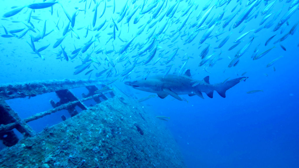 39cc4854-1dee-482b-80fb-3a7fef41229a