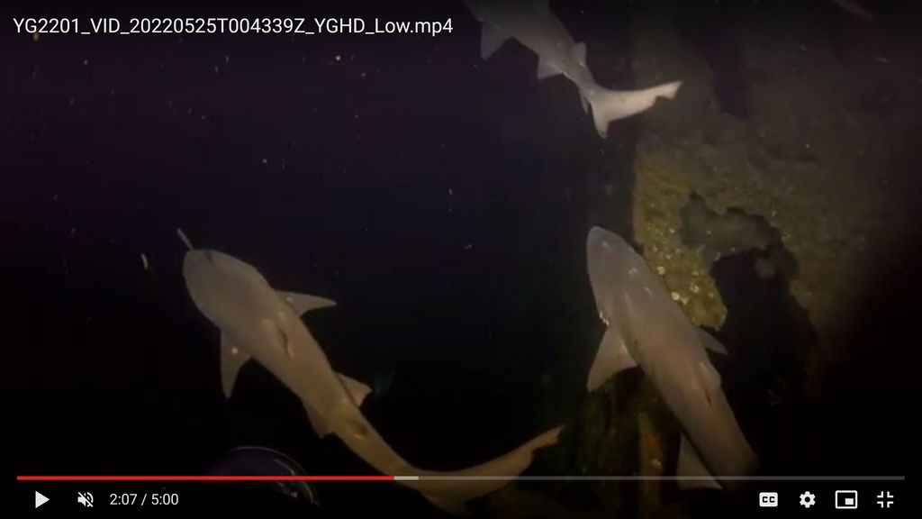 30acf82e-5b6b-43f8-aba0-e14685e418cc