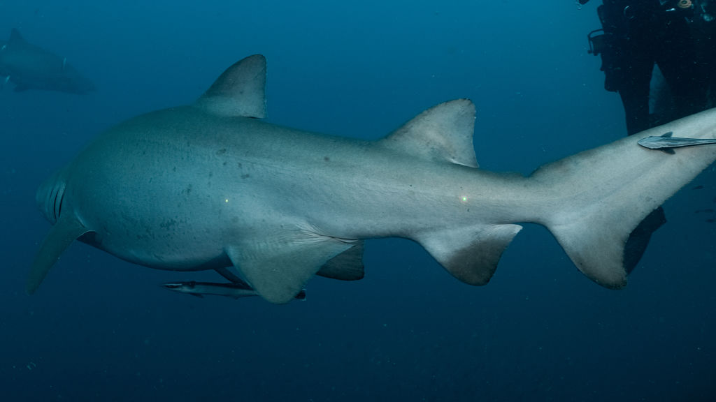 c2d1670b-9112-439f-bb87-3aed71471a37