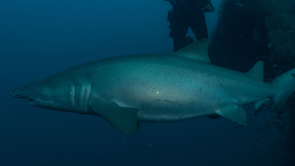 c2d1670b-9112-439f-bb87-3aed71471a37