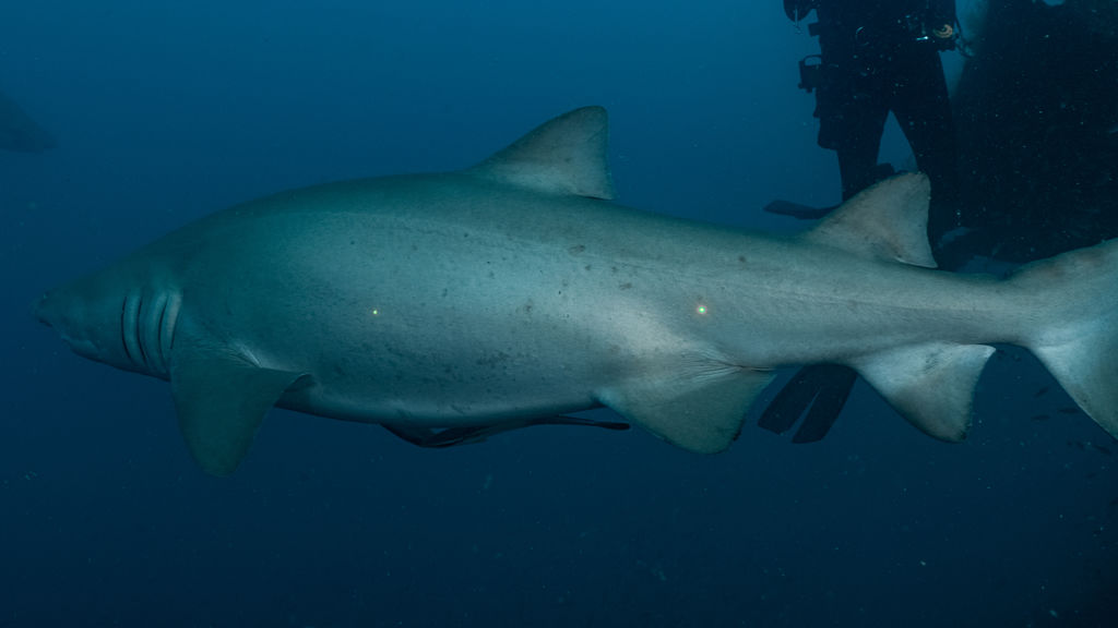 c2d1670b-9112-439f-bb87-3aed71471a37