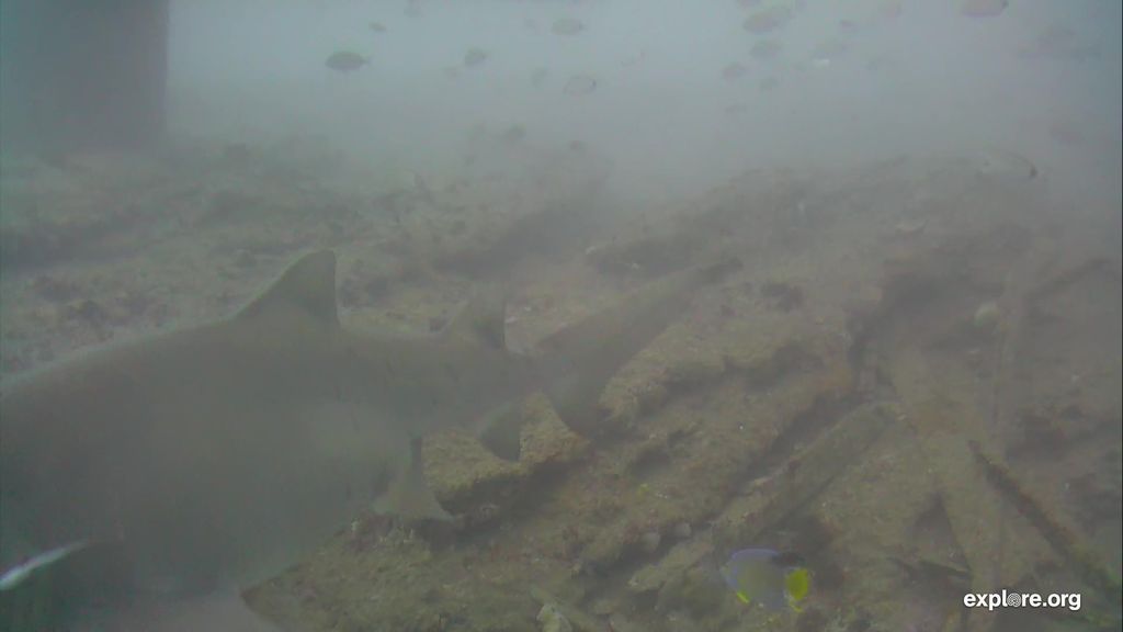 cb47d915-93ca-4c3f-a435-ea4ab199df13