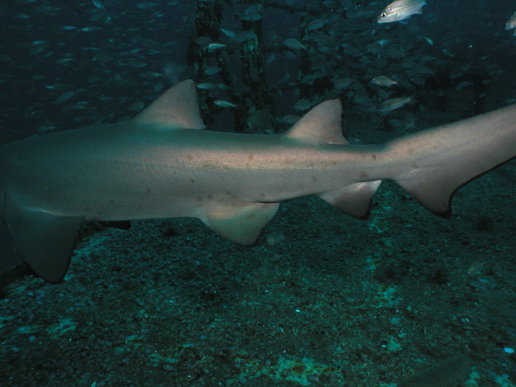 f385efee-0c21-41da-a640-6457f12f189a