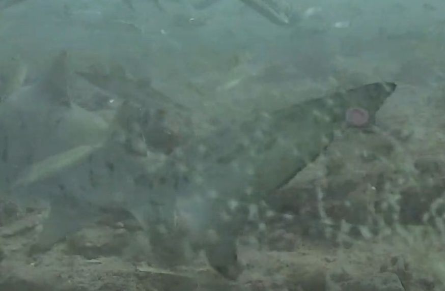 0ae58c6a-c089-414a-804c-a96773fc6cf4