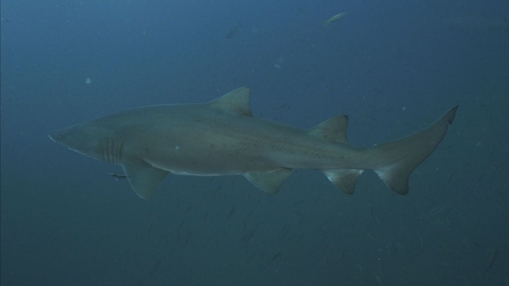 2a8f7acb-50ed-4314-8274-4b3ac3834690