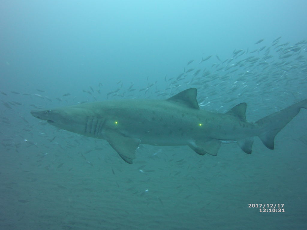 66c4b731-b8f1-4ce0-b1a8-21a1dbf6bfdf