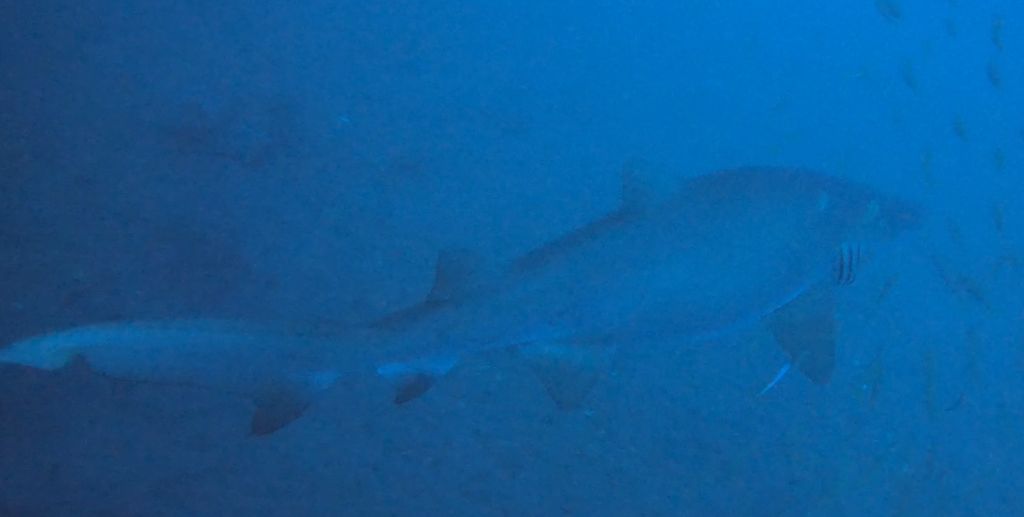 750d38ec-2289-4371-bb81-d3be2549b9dc