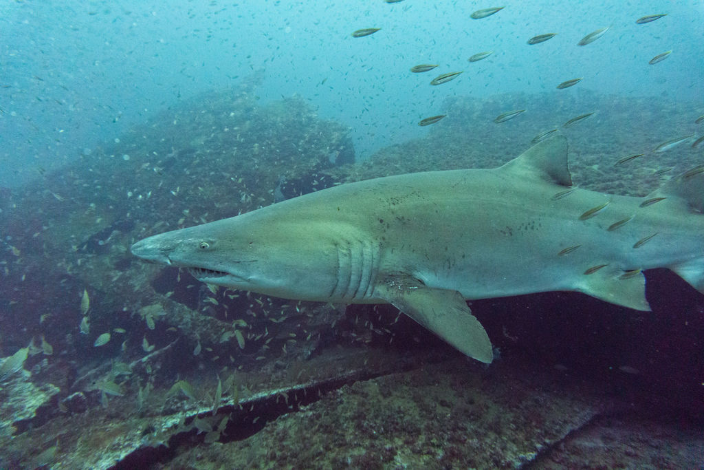 b2c6add2-acb8-4671-8e31-e6c9ff7a68ac