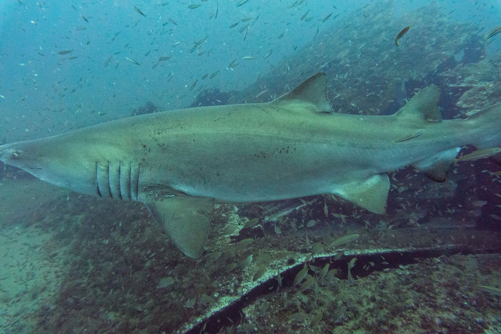 b2c6add2-acb8-4671-8e31-e6c9ff7a68ac