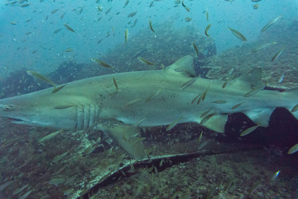 b2c6add2-acb8-4671-8e31-e6c9ff7a68ac