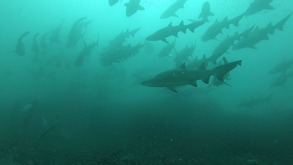 cdafd4cc-a60e-4eb6-b849-c9673b9b7ece