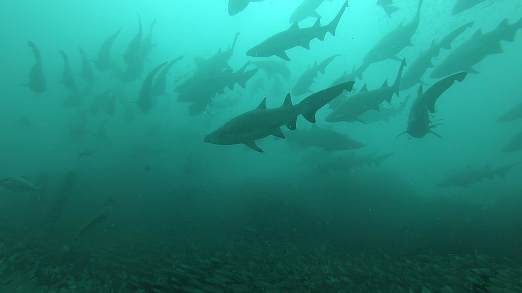 cdafd4cc-a60e-4eb6-b849-c9673b9b7ece