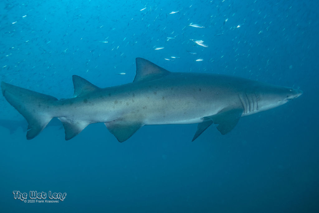 494aa8e8-fa57-4d5d-a08f-d3c11fc9c8d0